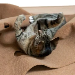 Canadian Cat Company Spielteppich Für Katzen Braun 9 Canadian Cat Company Spielteppich Für Katzen Braun -Katzen Hundebedarf Geschäft feeb1471a0788eb13995861dfe89bb445b21d4b8 1394213 de DE 4a32360e22e339a18cf0f9a52c488f1077251d777uzNQw