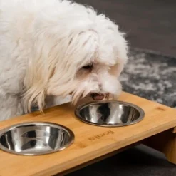 Lionto Erhöhte Futterstation Aus Bambus Braun/ Silber S 8 Lionto Erhöhte Futterstation Aus Bambus Braun/ Silber S -Katzen Hundebedarf Geschäft ff2eba128a0d6b75a70cc824dc213b8dd85d734a 1665921 de DE e23b5a688ebe67bbe1f23e079b16083d61ef18cdlFh9kV