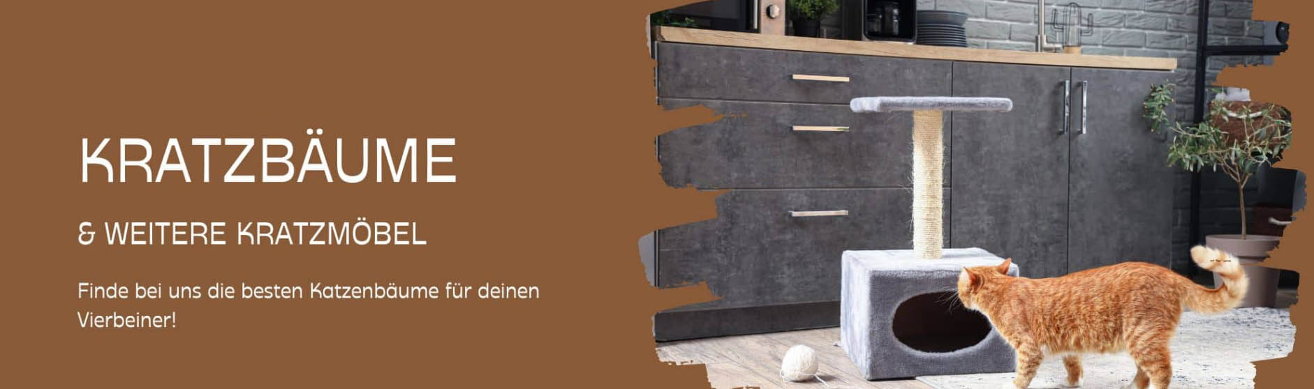 Katzen Hundebedarf Geschäft -Katzen Hundebedarf Geschäft sdfsdfsfg